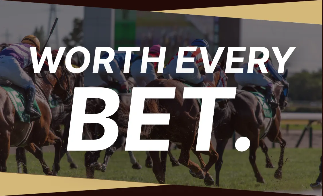 すべてを賭ける価値がある。