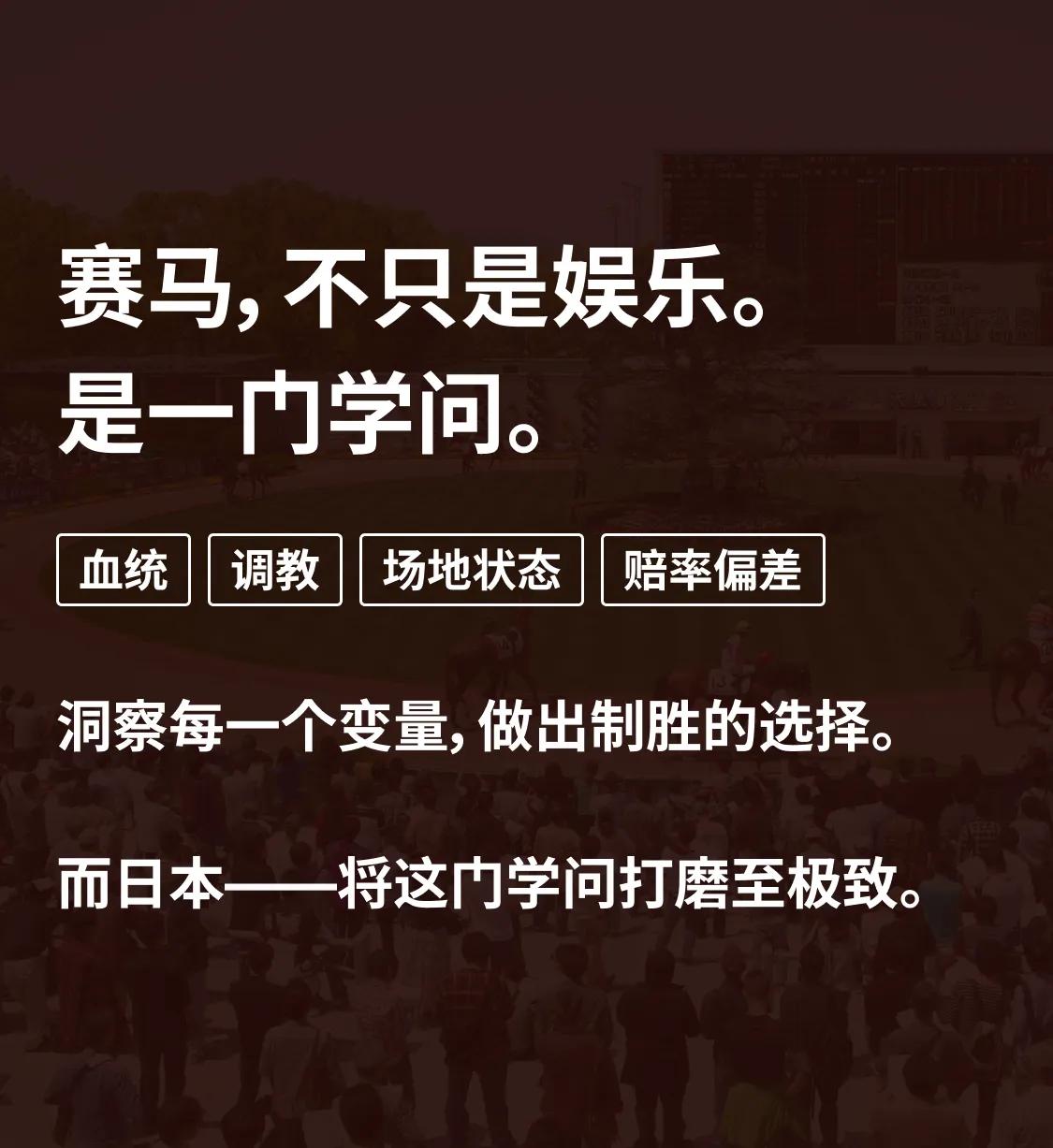 競馬はただの娯楽ではない。