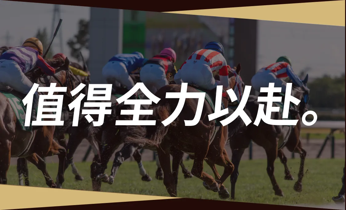 すべてを賭ける価値がある。