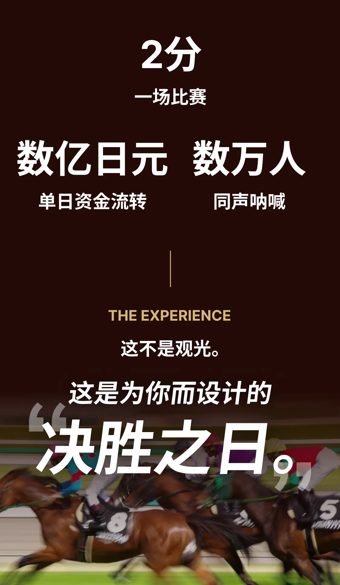 ２分間１レースわずか2分あなたのために設計される勝負の１日