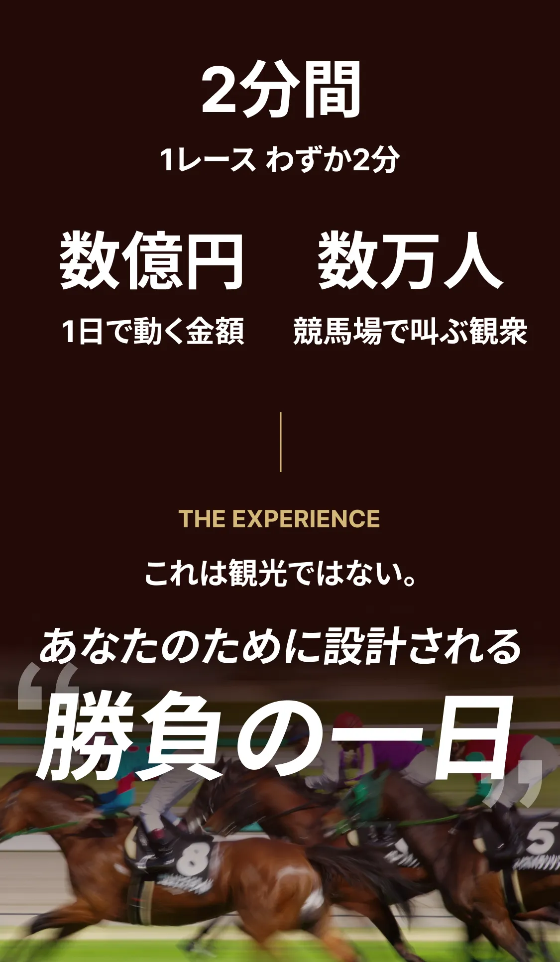 ２分間１レースわずか2分あなたのために設計される勝負の１日