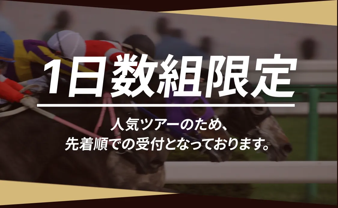 １日数組限定